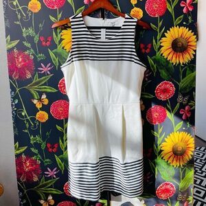 Madewell White Striped Fitted Dress Size Medium